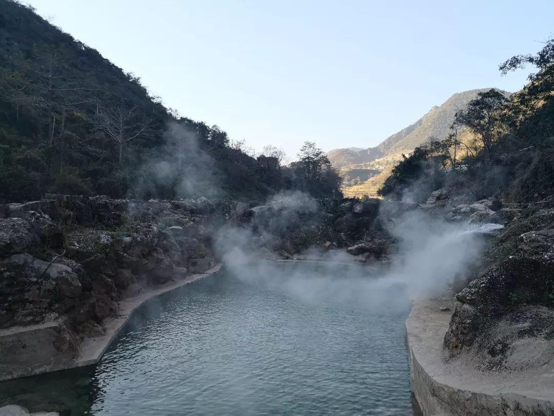太岁是什么生物红迪网-网友分享实用信息的平台